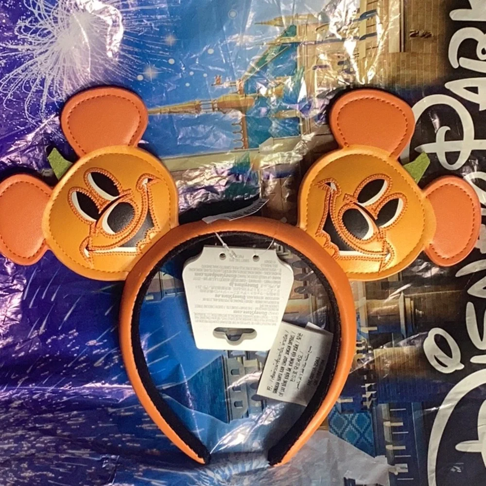 Disney park pumpkin ears - Picture 3 of 5